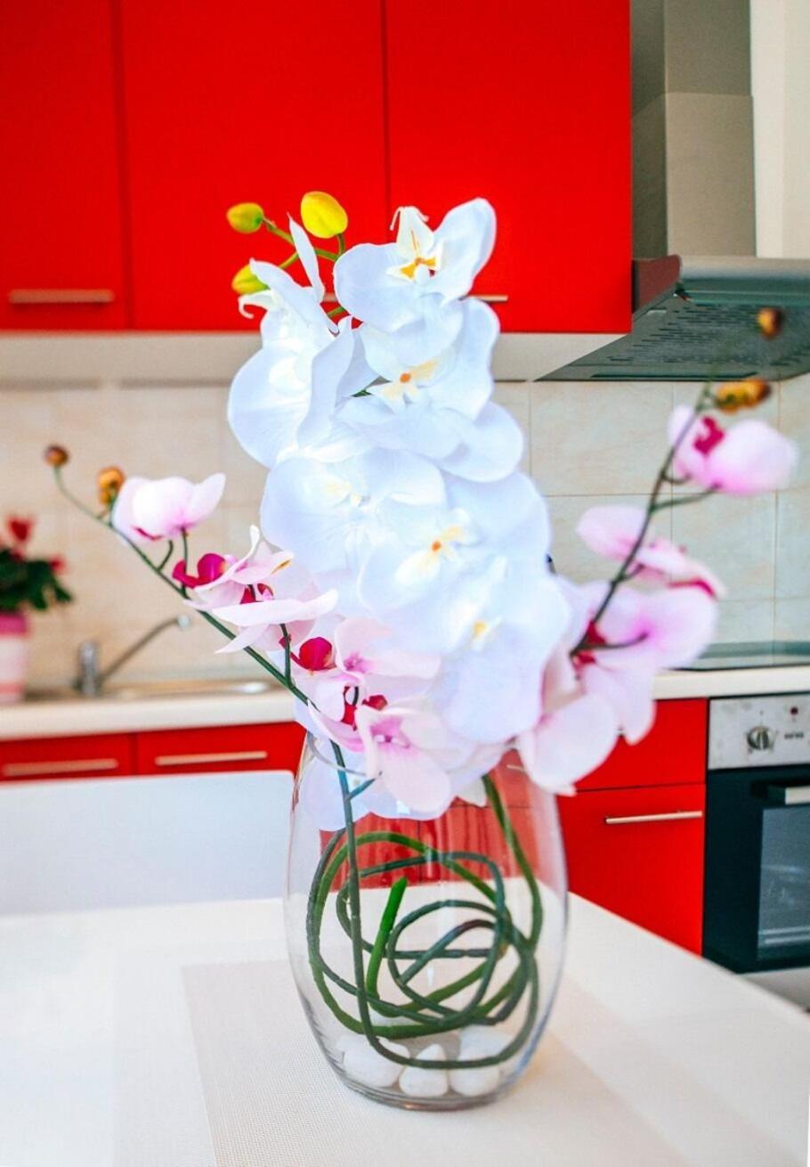 Apartments Ljubo - Modern Andy Cosy ヴーシ エクステリア 写真